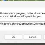 Windows-11-khong-cap-nhap-duoc-phai-lam-sao